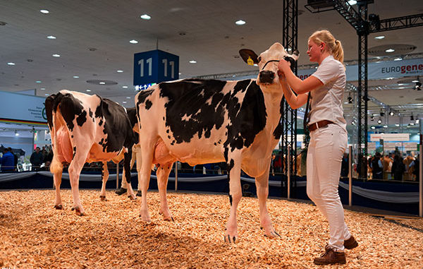2018-30-10-1-eurotier 2018-30-10-1-eurotier