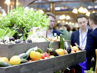 Hamuburg Messe und Congress / Katrin Neuhauser